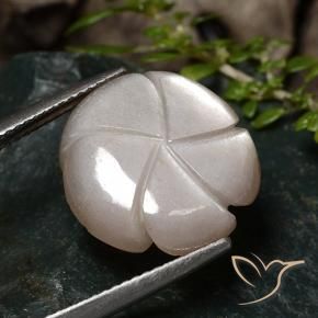 Pietra di luna Marrone chiaro naturale da 9.33 ct, Taglio a fiore, Traslucido