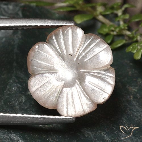 5.24ct Naturale Marrone Molto Chiaro Pietra di luna, Taglio a fiore, Traslucido