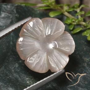 Pietra di luna Marrone Molto Chiaro naturale da 5.24 ct, Taglio a fiore, Traslucido
