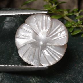 Pietra di luna marrone molto chiaro naturale da 6,52 ct, taglio fiore, traslucido