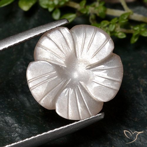 6.68ct Naturale Marrone Molto Chiaro Pietra di luna, Taglio a fiore, Traslucido