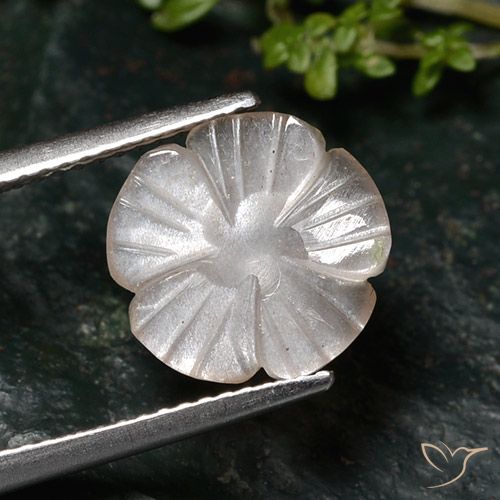 2.76ct Naturale Marrone Molto Chiaro Pietra di luna, Taglio a fiore, Traslucido