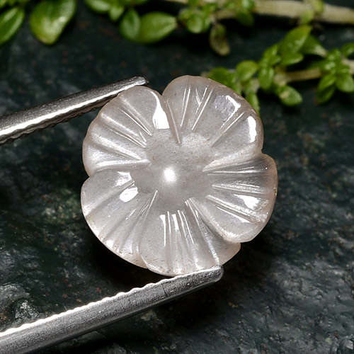 Pietra di luna naturale rosa da 3,60 ct, taglio fiore, traslucido