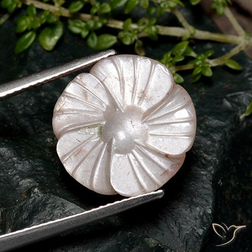 8.04ct Naturale Marrone chiaro Pietra di luna, Taglio a fiore, Traslucido