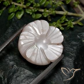 Pietra di luna Marrone chiaro naturale da 8.04 ct, Taglio a fiore, Traslucido