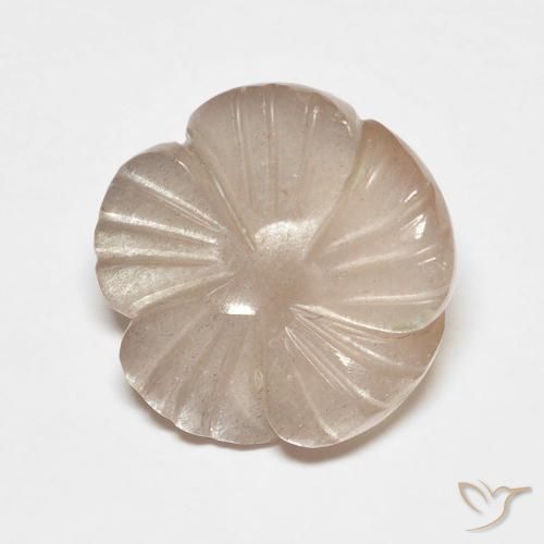 5.53ct Naturale Marrone Caramello Chiaro Pietra di luna, Taglio a fiore, Traslucido