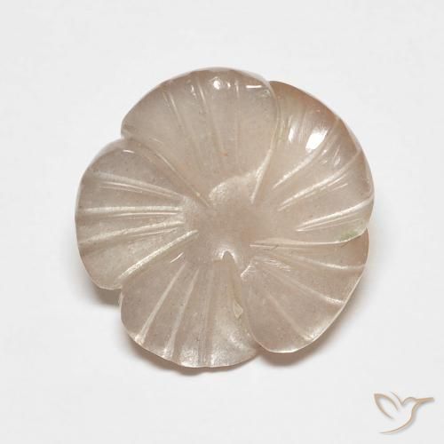 Pietra di luna Marrone Caramello Chiaro naturale da 5.53 ct, Taglio a fiore, Traslucido