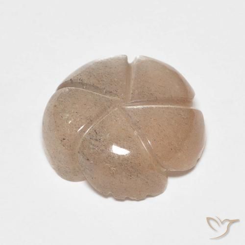 Pietra di luna Marrone Caramello Chiaro naturale da 5.53 ct, Taglio a fiore, Traslucido