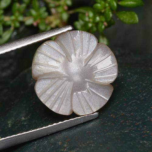 Pietra di luna naturale marrone da 5,29 ct, taglio fiore, traslucido
