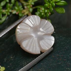 Pietra di luna naturale marrone da 5,29 ct, taglio fiore, traslucido
