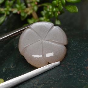 Pietra di luna naturale marrone da 5,29 ct, taglio fiore, traslucido