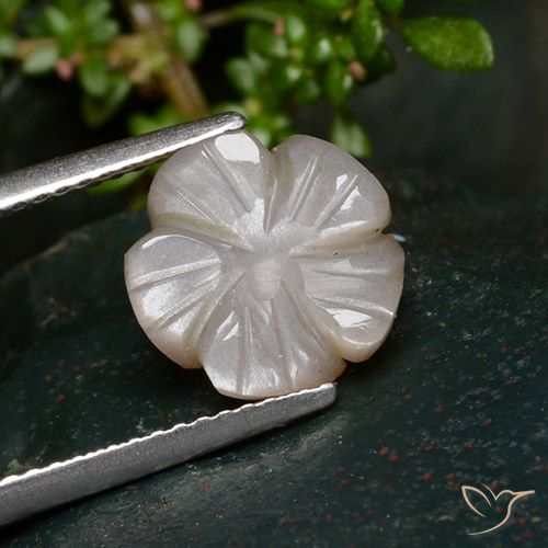 3.25ct Naturale Marrone Molto Chiaro Pietra di luna, Taglio a fiore, Traslucido