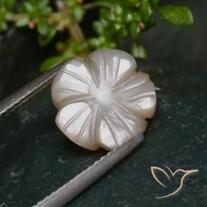 Pietra di luna Marrone Molto Chiaro naturale da 3.25 ct, Taglio a fiore, Traslucido