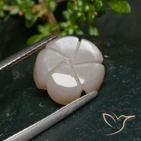 Pietra di luna Marrone Molto Chiaro naturale da 3.25 ct, Taglio a fiore, Traslucido