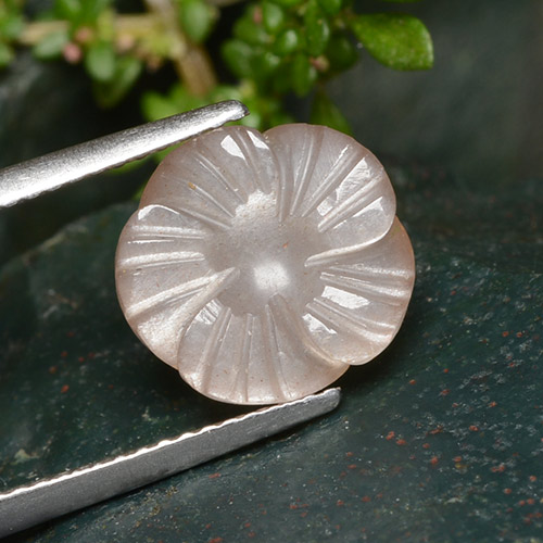 Pietra di luna naturale arancione da 4,01 ct, taglio fiore, traslucido