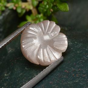 Pietra di luna naturale arancione da 4,01 ct, taglio fiore, traslucido
