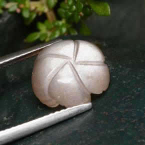 Pietra di luna naturale arancione da 4,01 ct, taglio fiore, traslucido