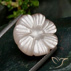 Pietra di luna Pesca naturale da 7.28 ct, Taglio a fiore, Traslucido