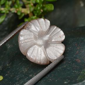 Pietra di luna naturale arancione da 6,41 ct, taglio fiore, traslucido