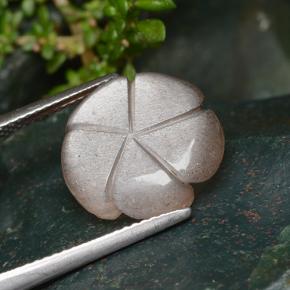 Pietra di luna naturale arancione da 6,41 ct, taglio fiore, traslucido