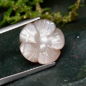 Pietra di luna Pesca naturale da 5.57 ct, Taglio a fiore, Traslucido