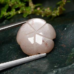 Pietra di luna Pesca naturale da 5.57 ct, Taglio a fiore, Traslucido