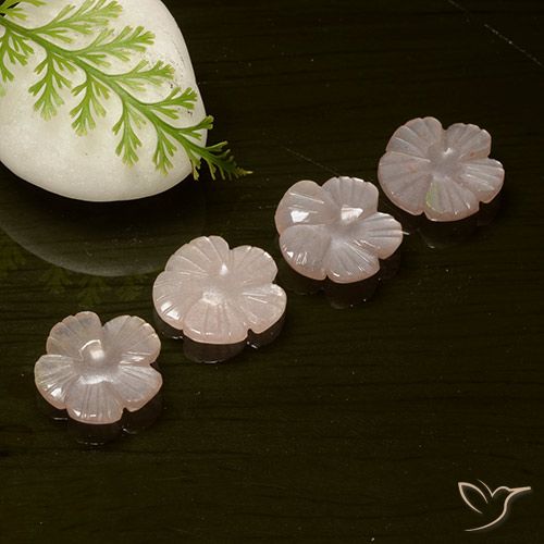8.75ctw Naturale Rosa arancio Pietra di luna, Taglio a fiore, Traslucido