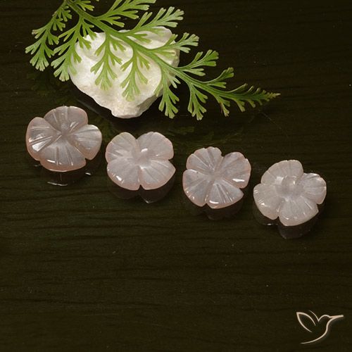 4.23ctw Naturale Arancione chiaro Pietra di luna, Taglio a fiore, Traslucido