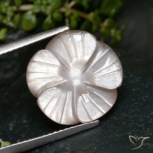 7.24ct Naturale Rosa Molto Chiaro Pietra di luna, Taglio a fiore, Traslucido
