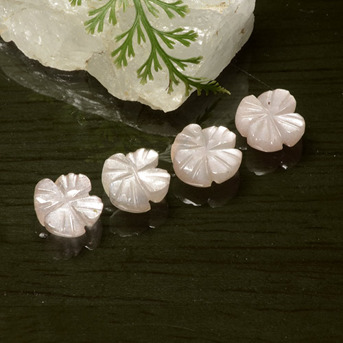 Gemme di Pietra di luna Rosa Molto Chiaro naturale da 5.06 ct, Taglio a fiore, Traslucido