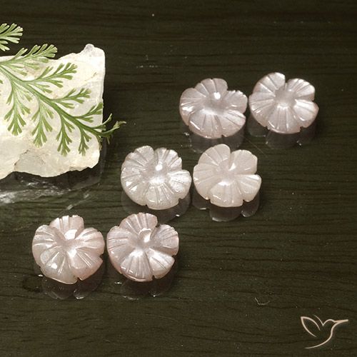 Pietra di luna naturale rosa da 14,57 ct, taglio fiore, traslucido