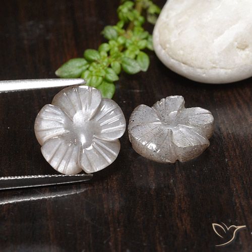 7.83ctw Naturale Rosa Molto Chiaro Pietra di luna, Taglio a fiore, Traslucido