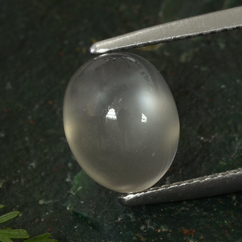 Pietra di luna naturale grigio da 3,50 ct, taglio ovale, traslucido