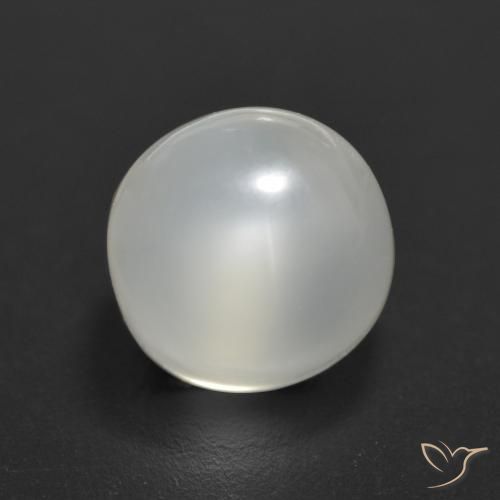 Pietra di luna Bianco traslucido naturale da 1.99 ct, Taglio rotondo, Trasparente