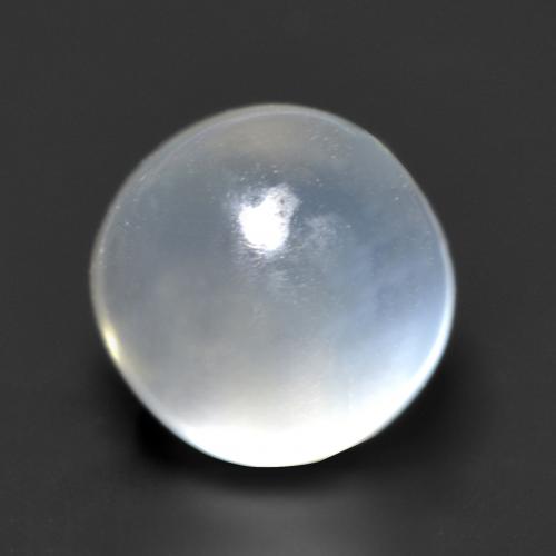 Pietra di luna Bianco traslucido naturale da 1.26 ct, Taglio rotondo, Trasparente