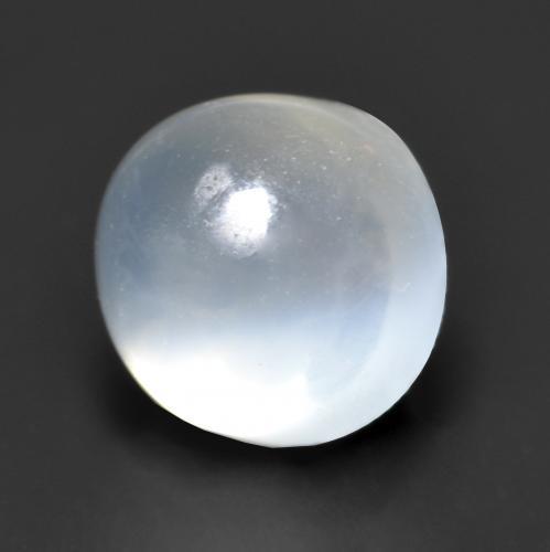 Pietra di luna Bianco traslucido naturale da 1.26 ct, Taglio rotondo, Trasparente