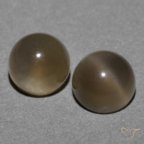 1.21ctw Naturale Marrone medio Pietra di luna, Rotondo, Traslucido