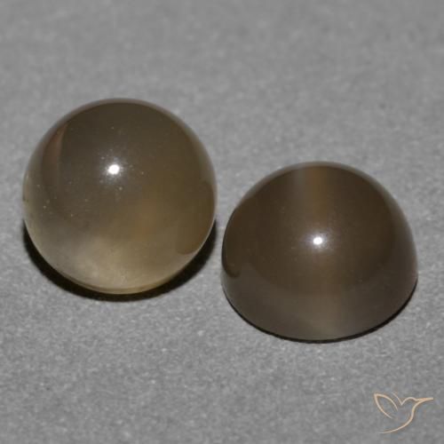 Gemme di Pietra di luna Marrone medio naturale da 1.21 ct, Rotondo, Traslucido