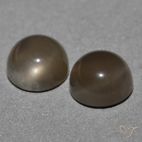 Gemme di Pietra di luna Marrone medio naturale da 1.21 ct, Rotondo, Traslucido