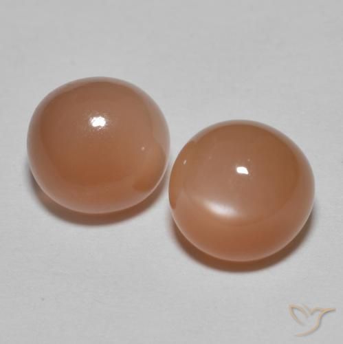 Gemme di Pietra di luna sidro d'arancia naturale da 3.25 ct, Rotondo, Traslucido