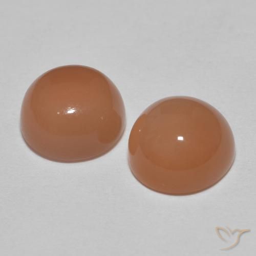 Gemme di Pietra di luna sidro d'arancia naturale da 3.25 ct, Rotondo, Traslucido