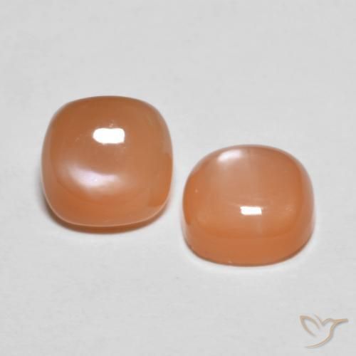 Gemme di Pietra di luna Cantalupo Arancia naturale da 2.78 ct, Cuscino, Traslucido