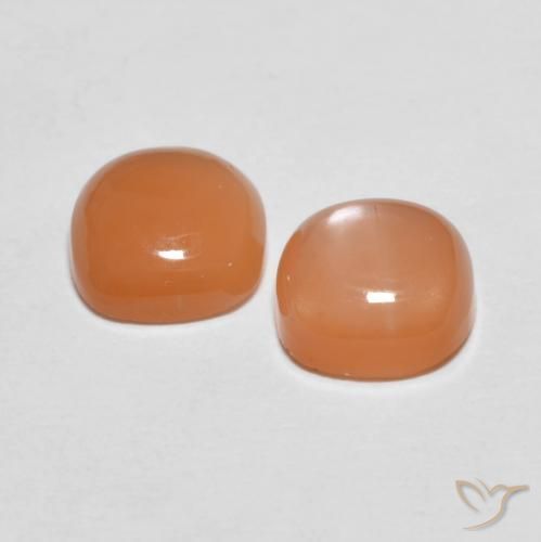 Gemme di Pietra di luna Cantalupo Arancia naturale da 2.78 ct, Cuscino, Traslucido