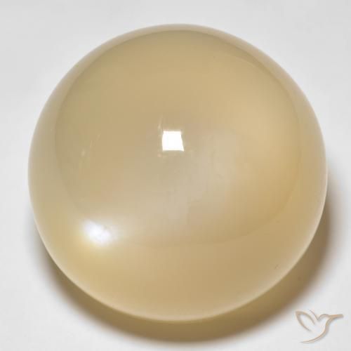 Pietra di luna Dorato naturale da 33.80 ct, Rotondo, Traslucido