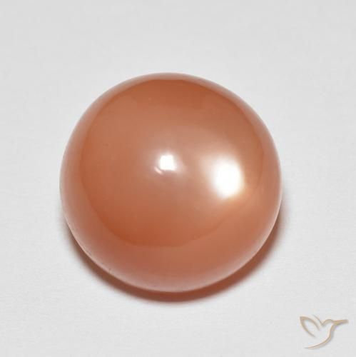 6.51ct Naturale Arancio rossastro chiaro Pietra di luna, Rotondo, Traslucido