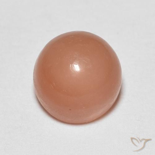1.30ct Naturale Cantalupo Arancia Pietra di luna, Rotondo, Traslucido