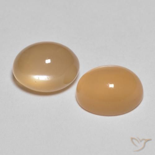 Gemme di Pietra di luna Pesca naturale da 3.07 ct, Ovale, Traslucido