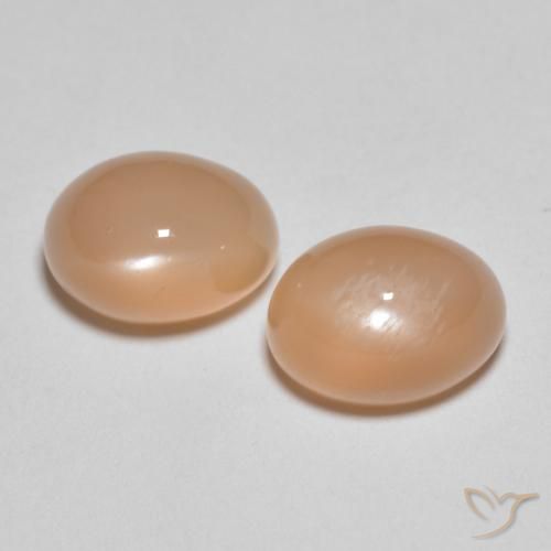 3.26ctw Naturale Cantalupo Arancia Pietra di luna, Ovale, Traslucido