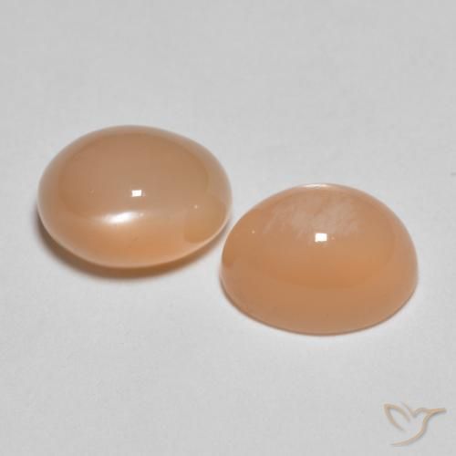 Gemme di Pietra di luna Cantalupo Arancia naturale da 3.26 ct, Ovale, Traslucido
