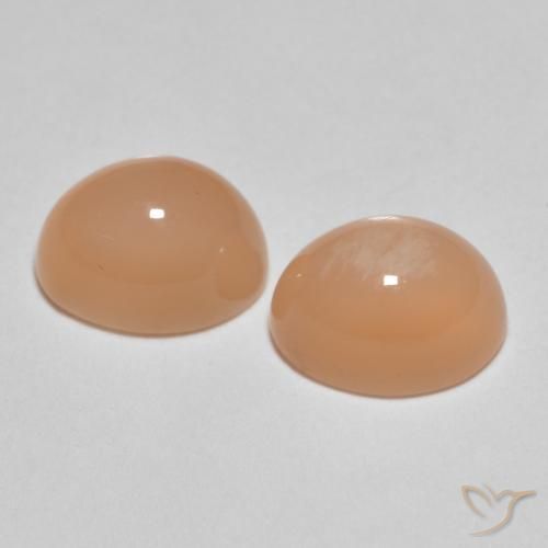 Gemme di Pietra di luna Cantalupo Arancia naturale da 3.26 ct, Ovale, Traslucido
